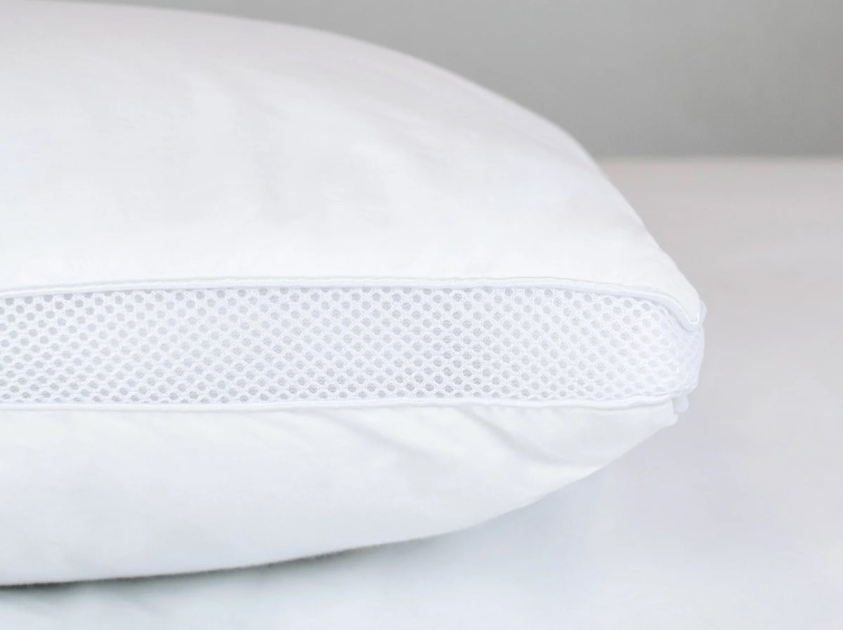 Arthur Snuggle Bundle (Single)